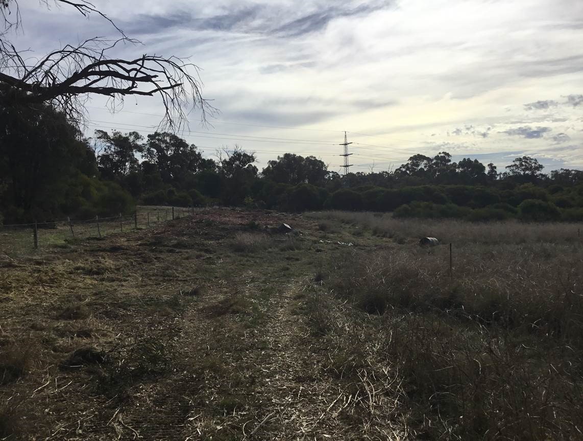 Forestry mulching equipment